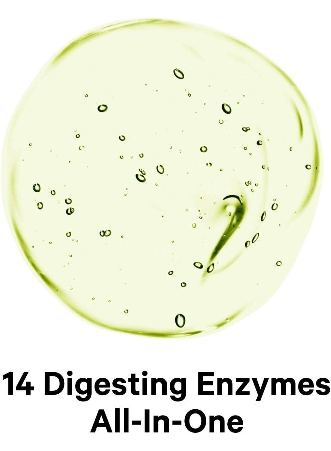 Codeage Digestive Enzymes Supplement, 3-Month Supply, Gut Health Probiotics, Prebiotics, Fermented Multi Enzymes, Plant-Based Superfood, One Capsule a Day, Vegan, Non-GMO, 90 Capsules - Image 4
